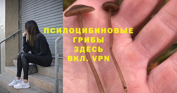 таблы Саяногорск
